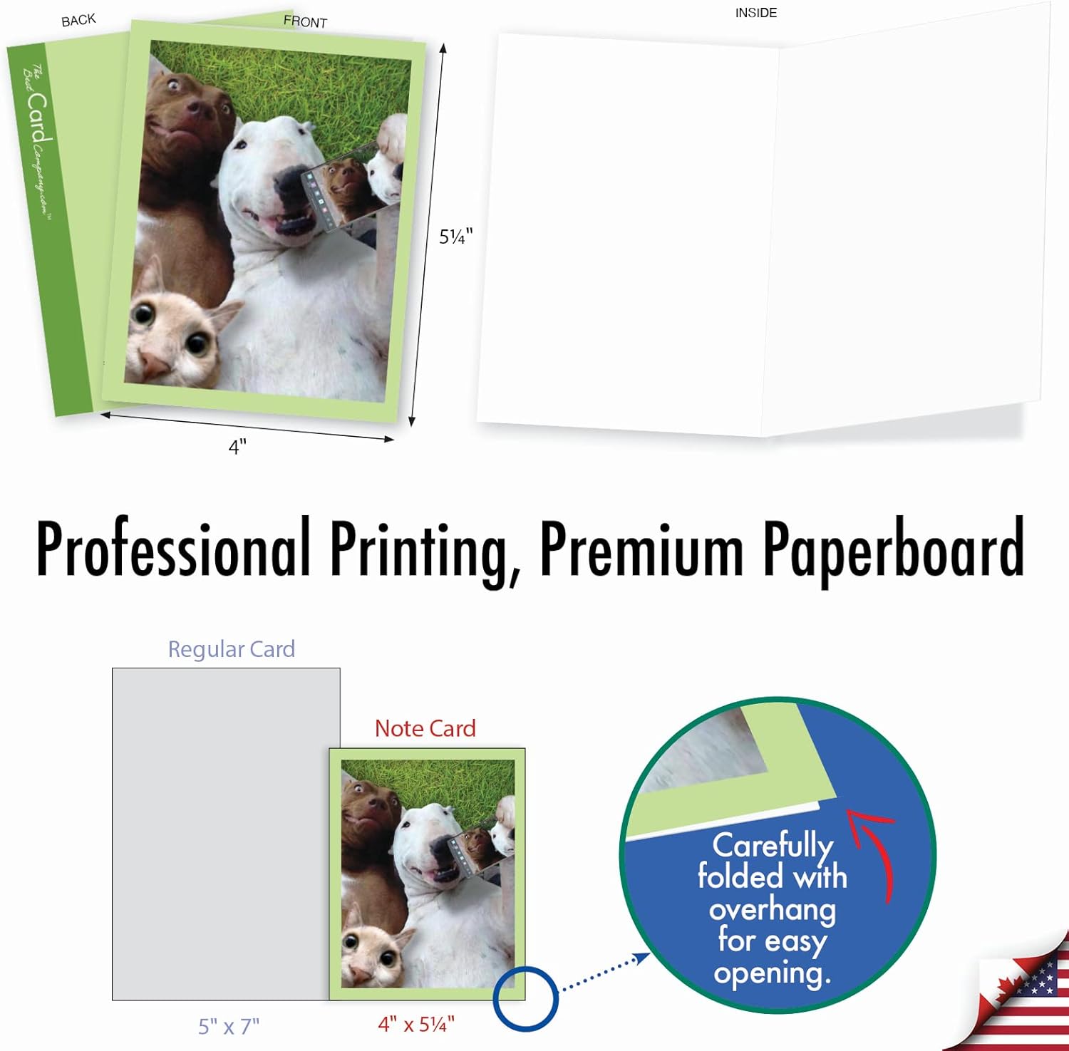The Best Card Company - 10 Adorable Note Cards Blank (4 x 5.12 Inch) - Wildlife and Animal Cards, Assorted Boxed Set - Animal Selfies M2373OCB-NB - Image 2