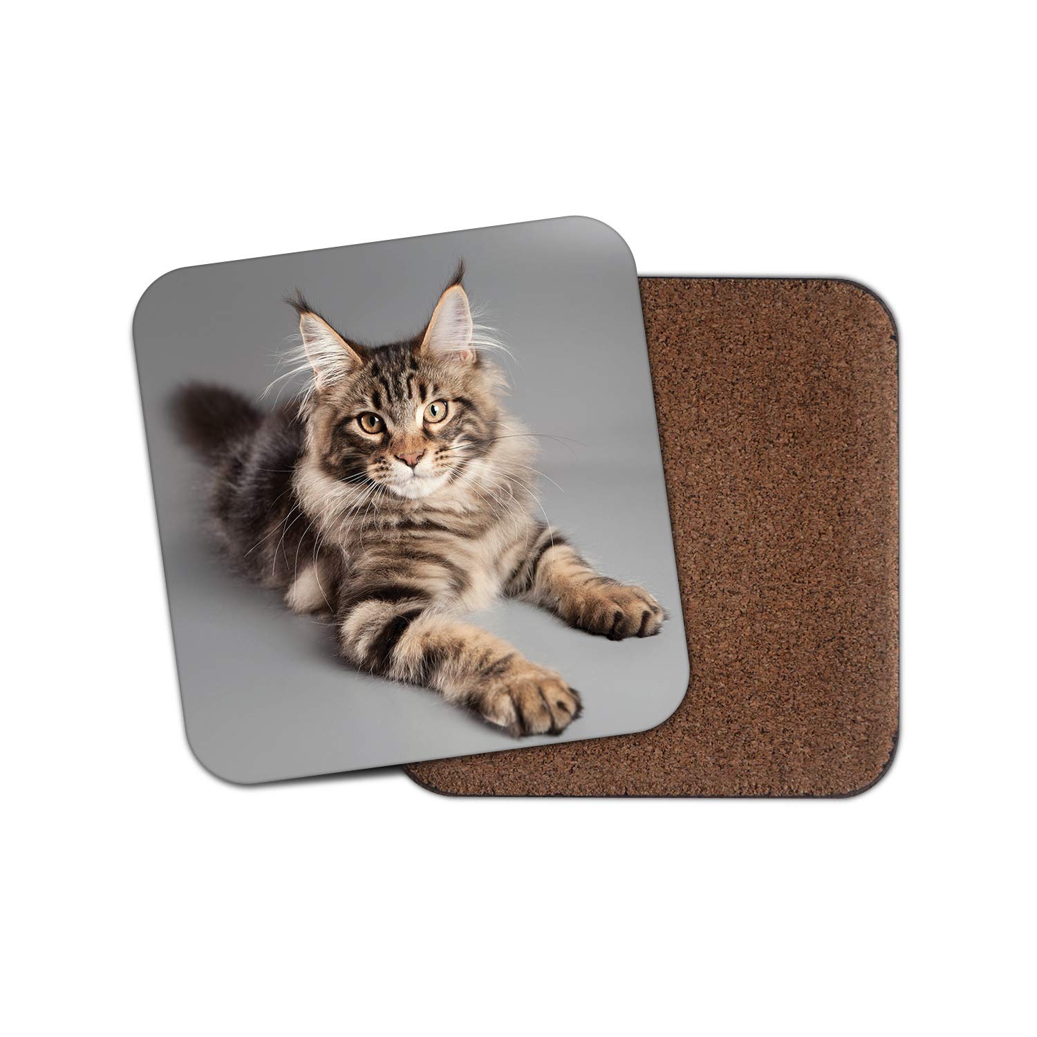 1 x Beautiful Maine Coon Cat Coaster - Kitten Mum Auntie Animals Pets #15678