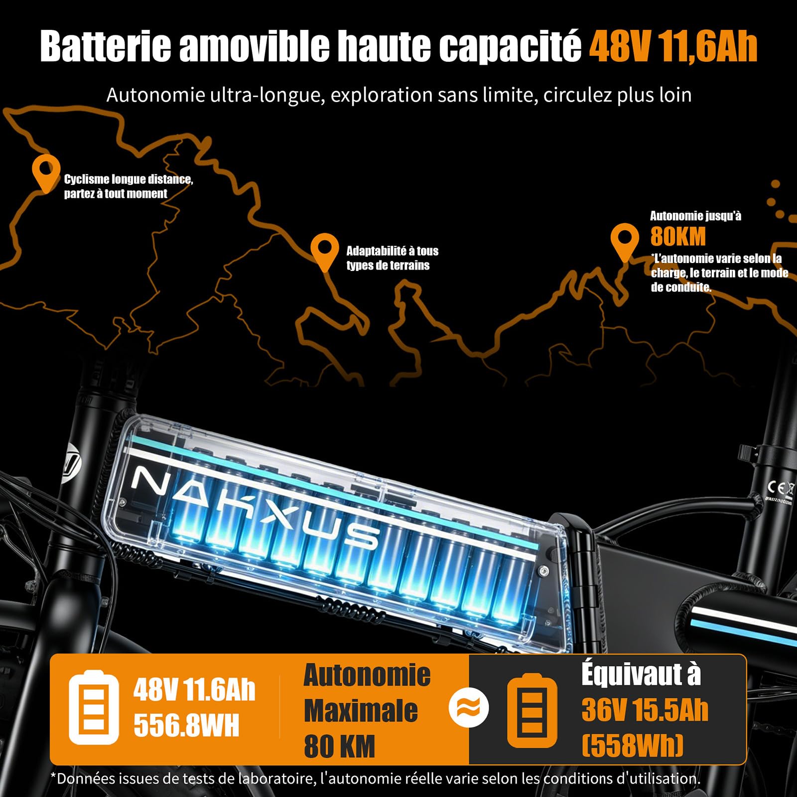 Vélo électrique 20F063, vélo électrique de 20" avec moteur de 250 W, batterie 48 V 11,6 Ah, dérailleur à 7 vitesses, écran LCD, portée jusqu'à 80 km