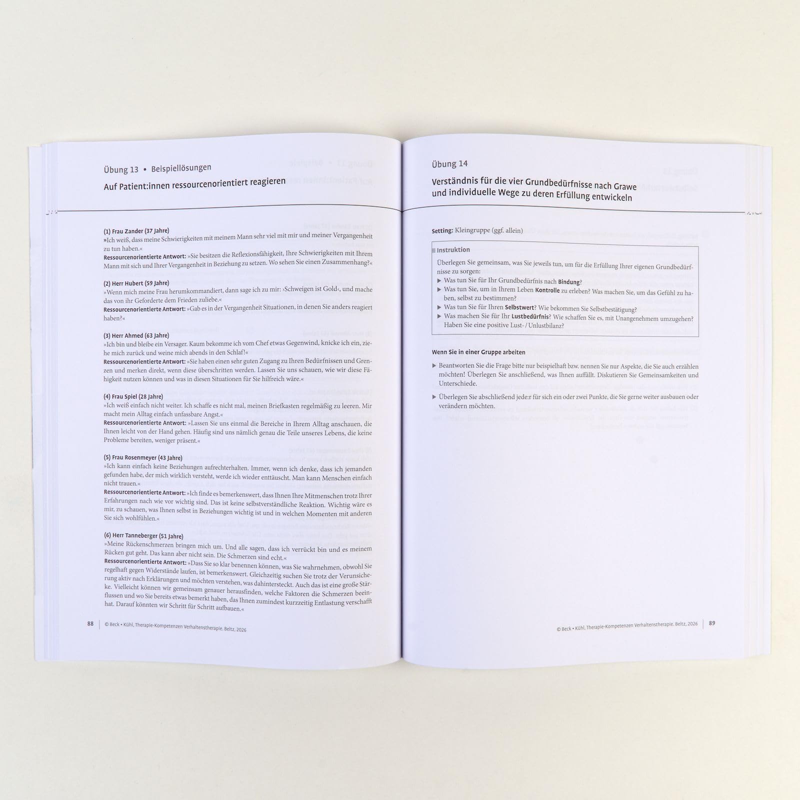 Therapie-Kompetenzen Verhaltenstherapie: Mit E-Book inside und Arbeitsmaterial (Beltz Therapie-Kompetenzen)