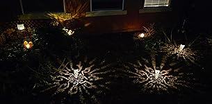 Review Image by Amazon Customer