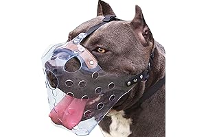 Mayerzon Pitbull Muzzle: Ultimate Safety for Powerful Pups