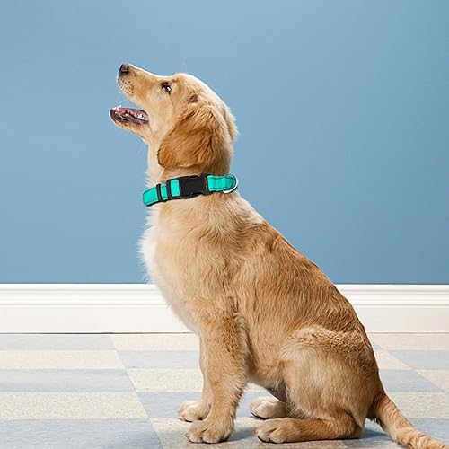 Miniatura 2 de PWOD Collar reflectante para perro, ajustable de neopreno suave acolchado de nailon para mascotas con hebilla para perros extra grandes, verde