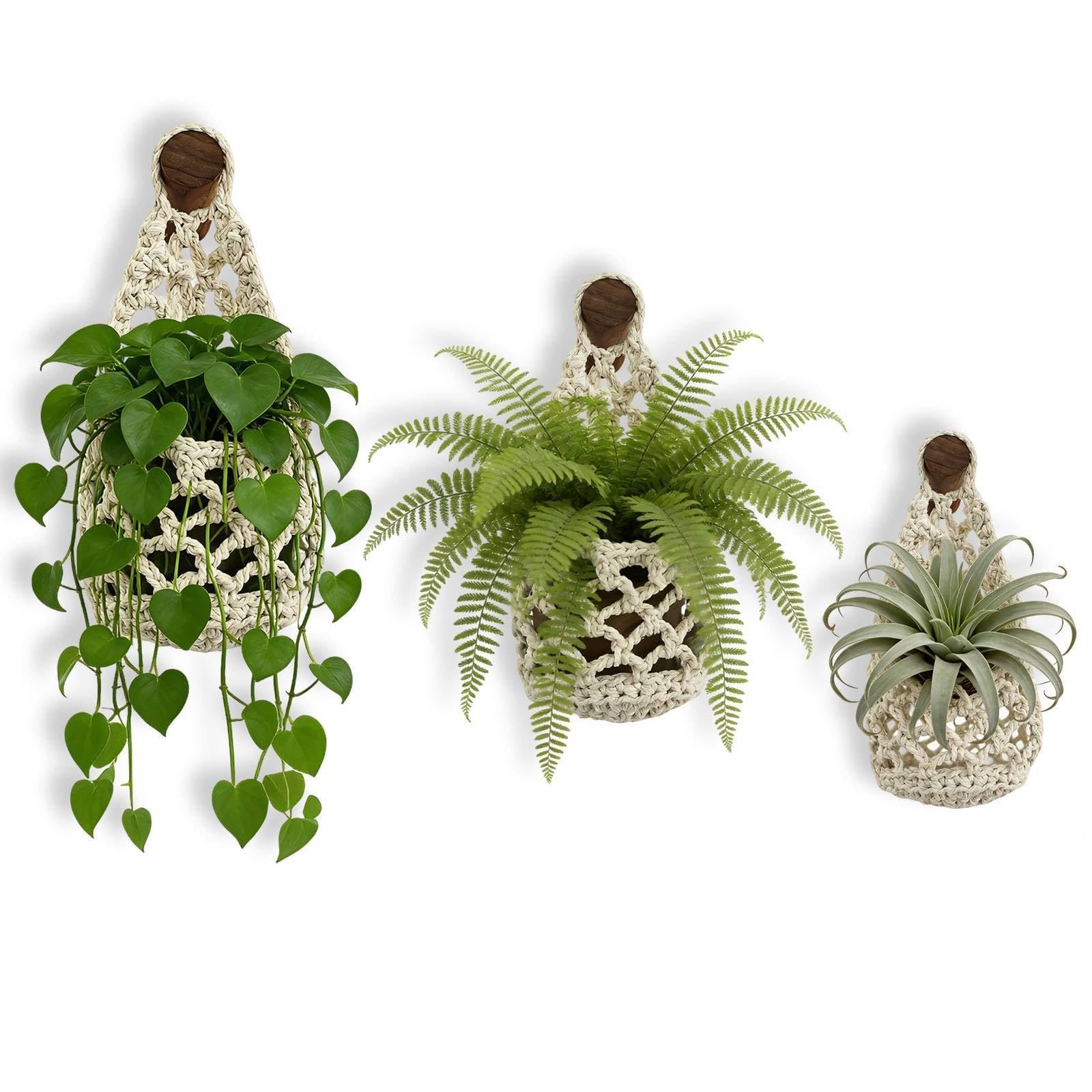 Ingzy Macrame Plant Hanger Set - Handwoven Cotton Rope Wall Hanging Plant Holder with Hook, Boho Home Decor for Indoor Plants, Hanging Basket Gift for Plant Lovers