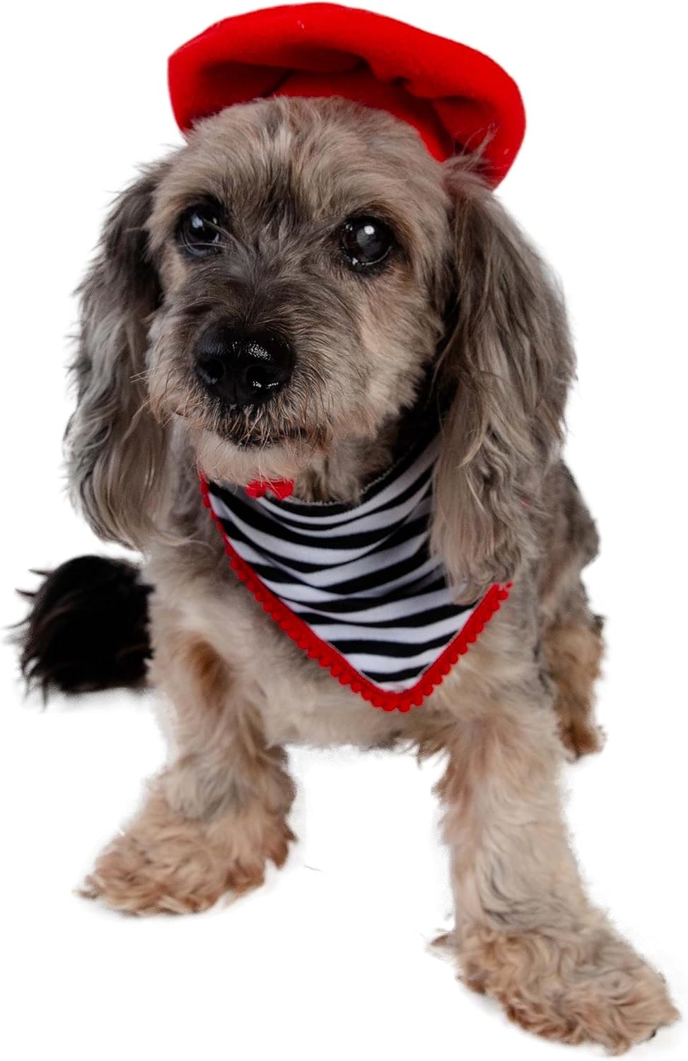 French Beret & Scarf Pet Costume - Two Piece Beret & Scarf Set - Dog & Cat Costume - One Size
