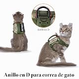 Ver la foto 2