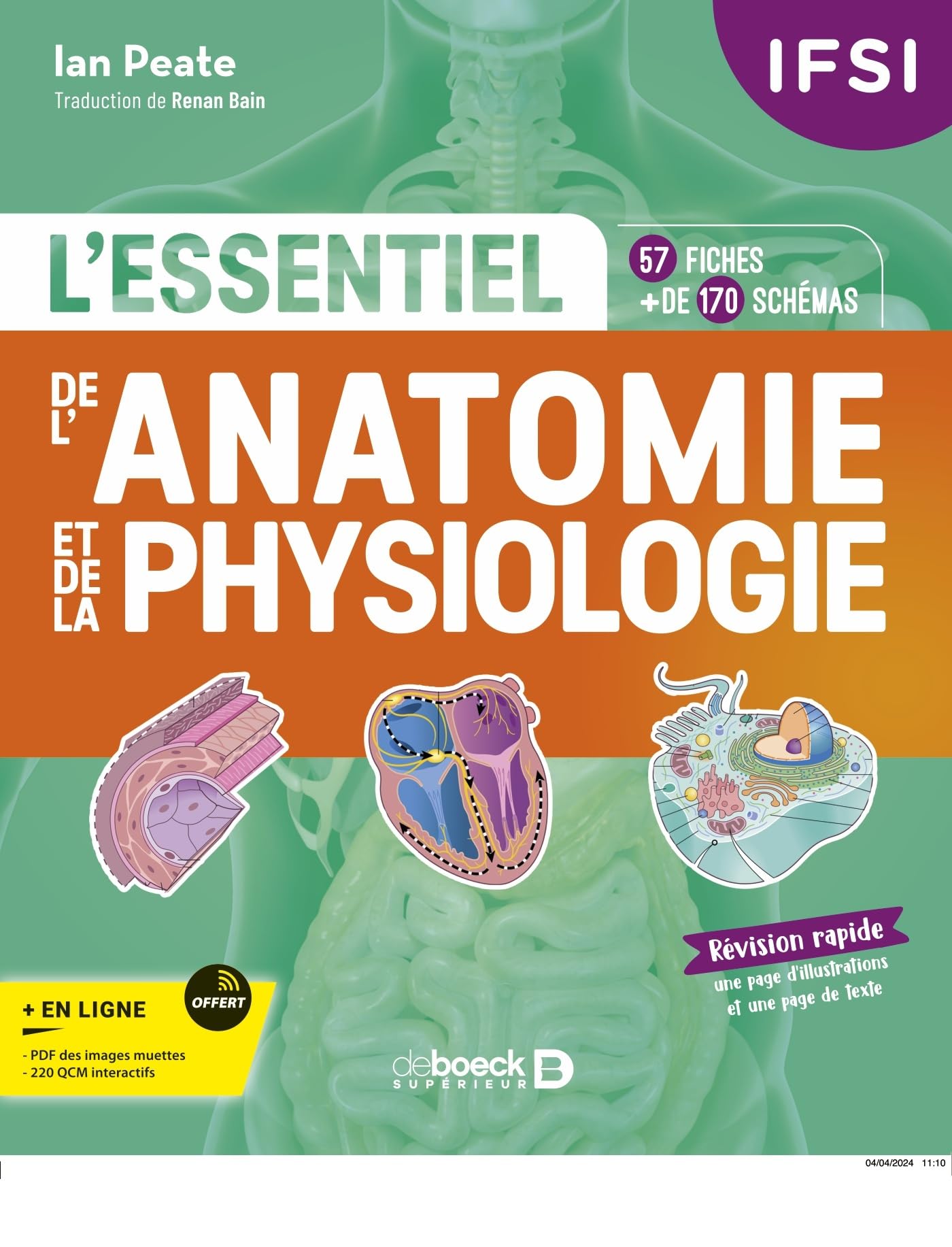 Amazon.fr - L'essentiel de l’anatomie et de la physiologie en fiches ...