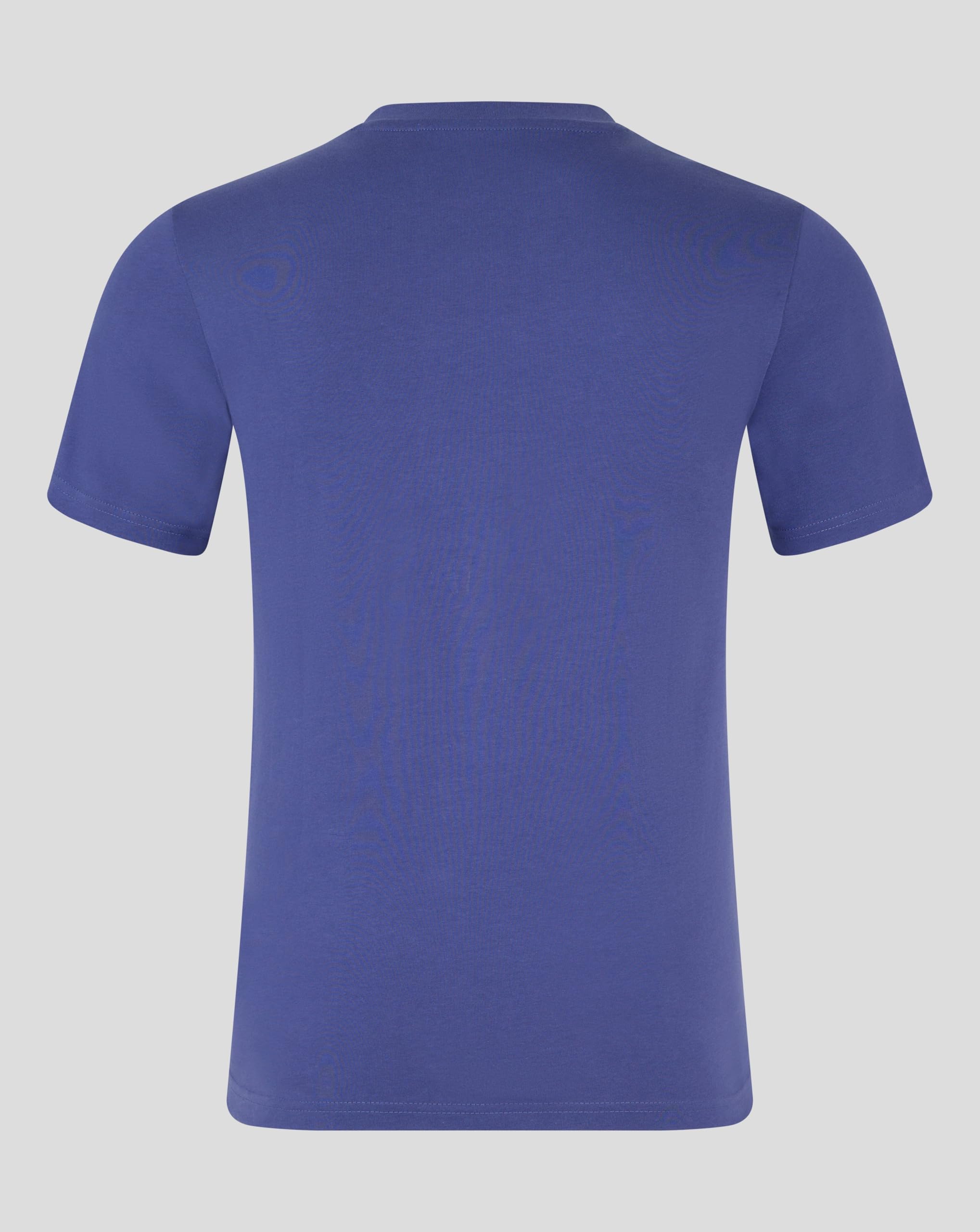 Castore Red Bull Racing F1 Large Front Logo T-Shirt