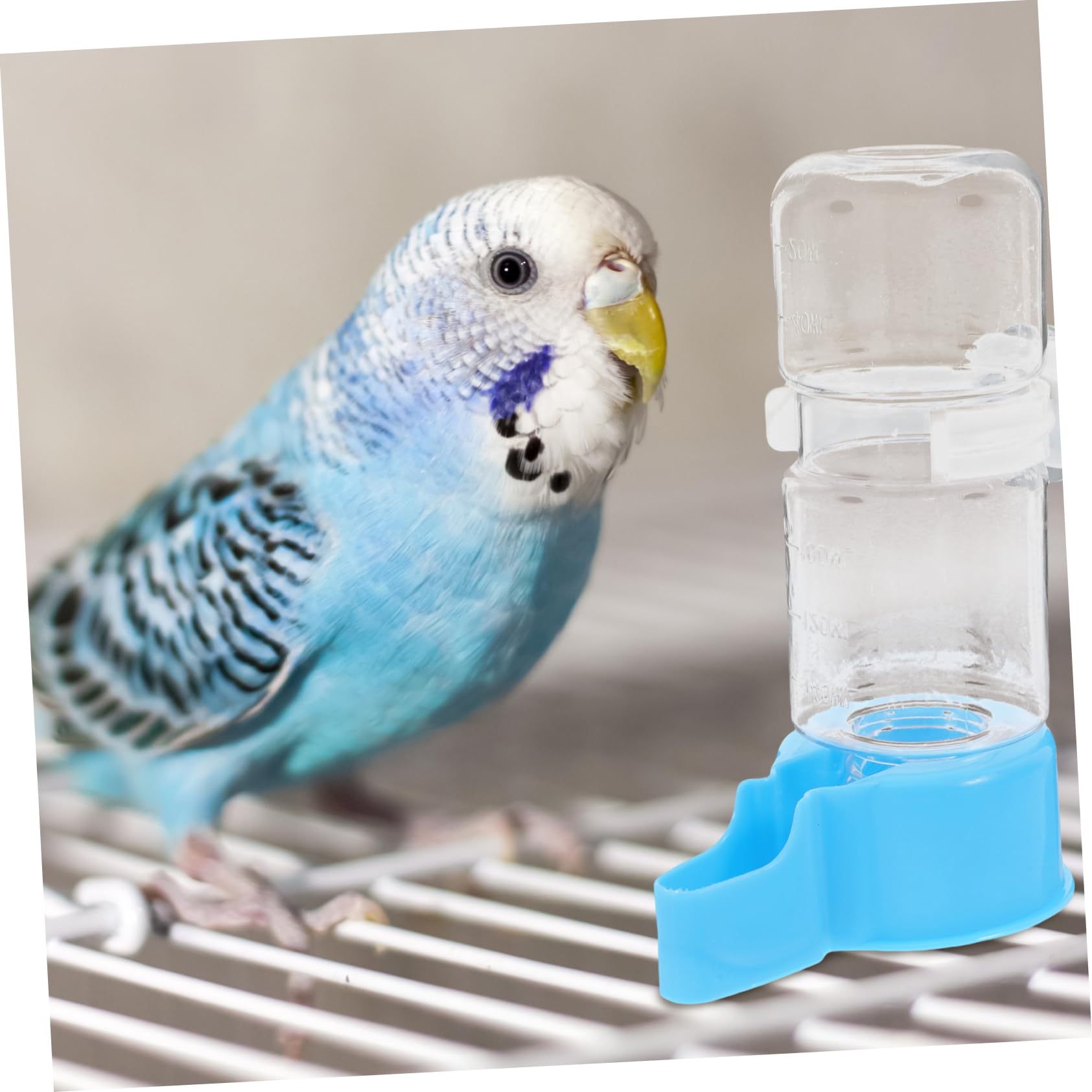 TOYANDONA Bebedero Automático Para Aves Dispensador De Agua Reutilizable Para Periquitos Y Aves Accesorio De Jaula Para Pájaros Sin Filtraciones Diseño Seguro Y 2 Piezas X 5