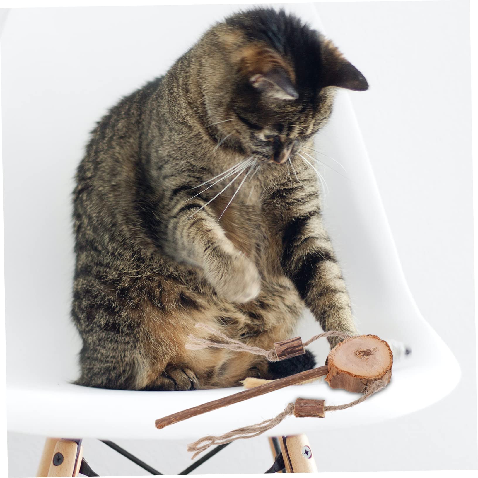 Kratzbaum, 9 Stück Spielzeug Interaktives Katzen, Kauspielzeug Quietschende Tease