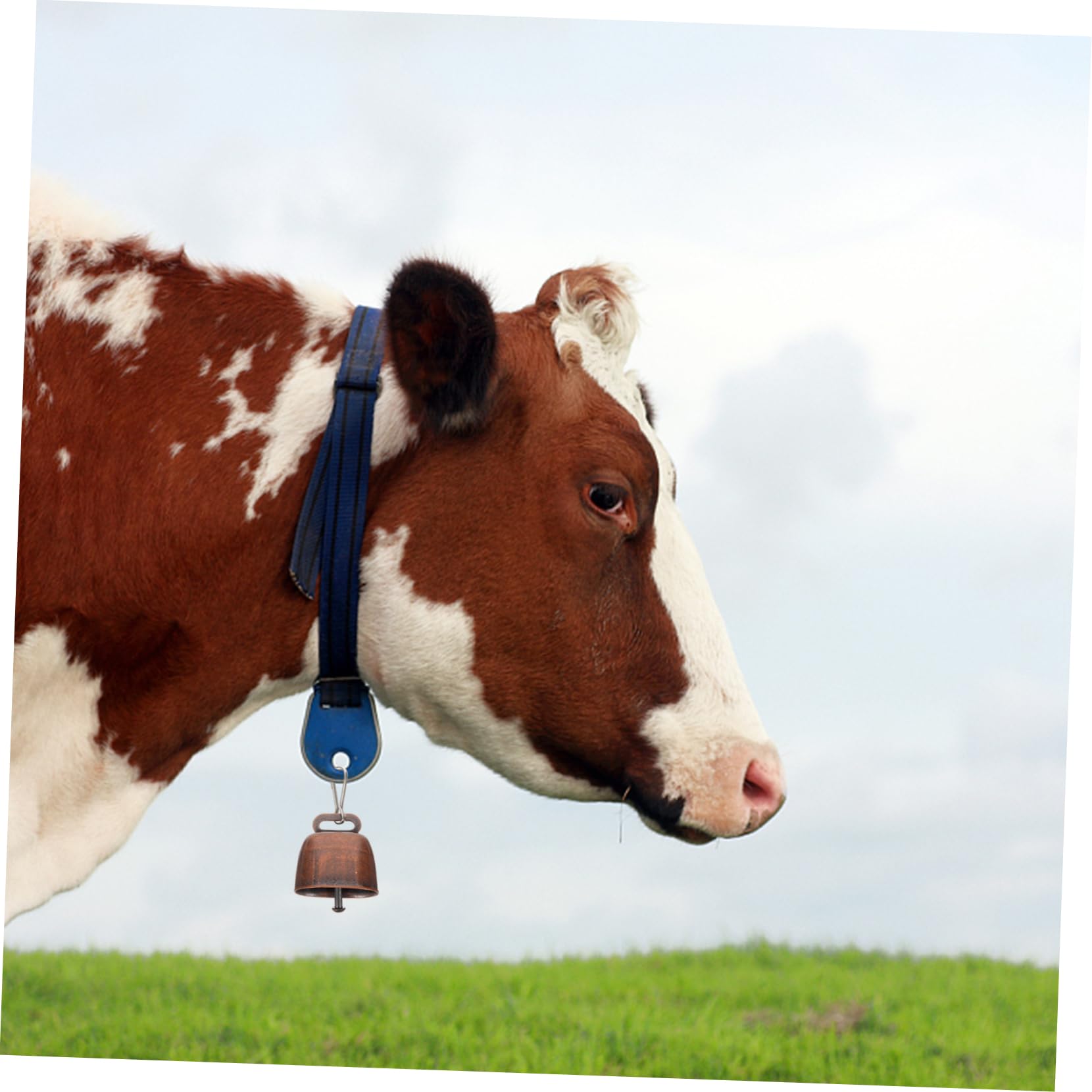 IWOWHERO Metal Cow Bell Pendant Anti-Lost Device Loud Noise for Horses Sheep Cattle Farming Jingle Bells