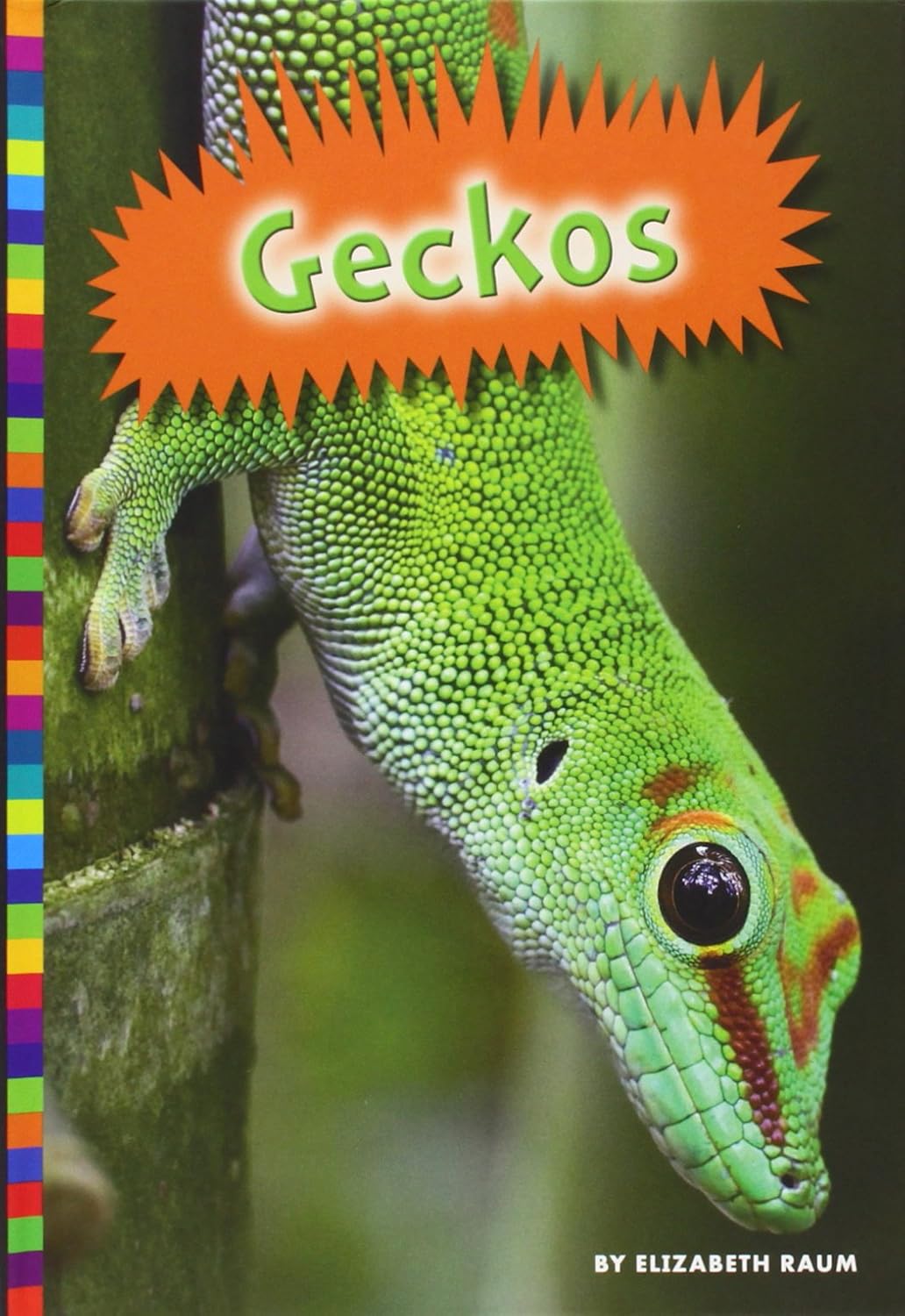 Buy Geckos (Lizards) Book Online at
