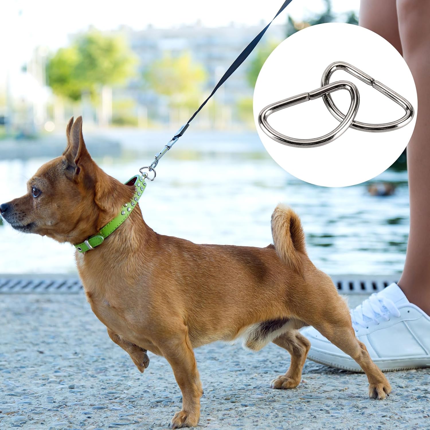 BTYMS 150 Pieces Metal D Rings 3/4 Inch(20mm), Multi-Purpose Non Welded D Ring for Purse, Keychains Belts, Dog Collar, Buckle Strap Sewing Accessories - Image 5