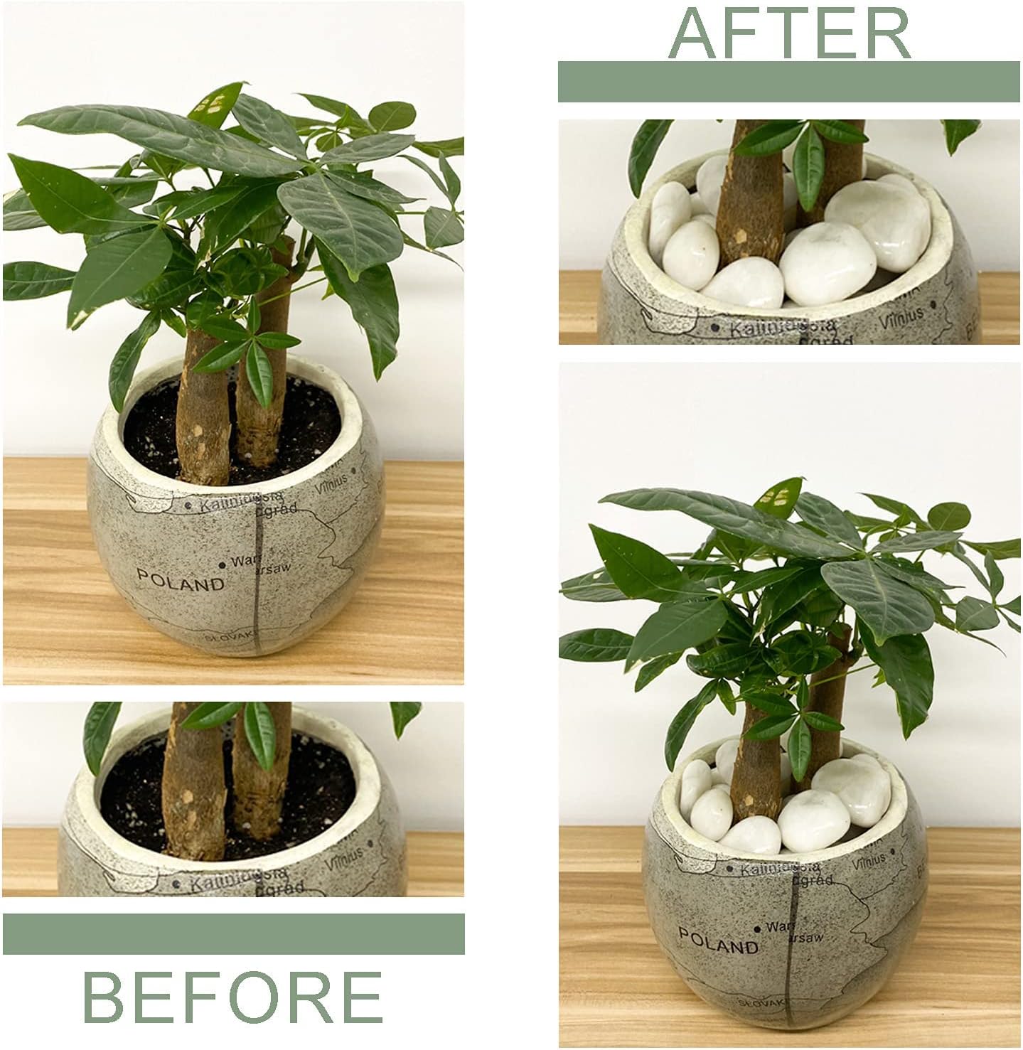 1.2-2 inch 5LB White Pebbles and Colorful Pebbles for Indoor Plants,Decorative Rocks for Planters, Vase, Fish Tank and Outdoor Landscaping