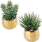 DILATATA Petits suclents artificiels en pots 3 Plantes de faux-succulents réalistes avec des pots en céramique d'or Mignon Mini Faux Plantes Décor pour la maison moderne Bureau Bureau Salle de bains Étagère Décoration
