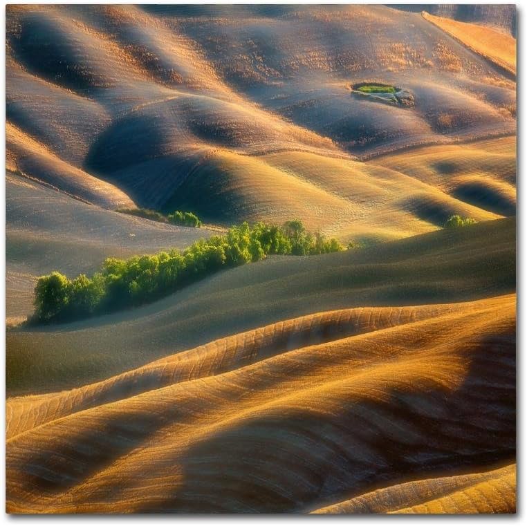 Fields by Krzysztof Browko, 14x14-Inch Canvas Wall Art