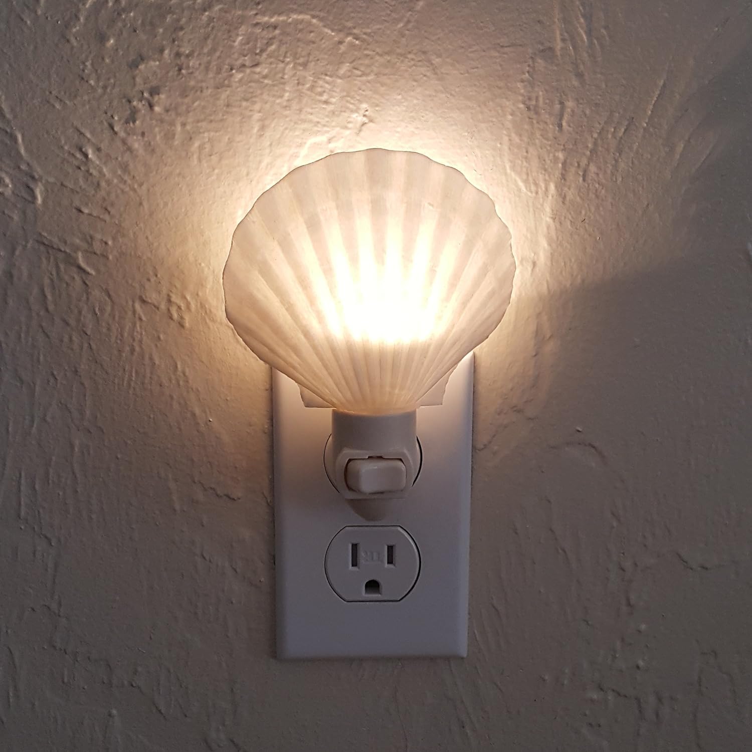 Tumbler Home Real Sea Shell Beach Night Light Real Natural Perfect for Beach Home Decor — view 2