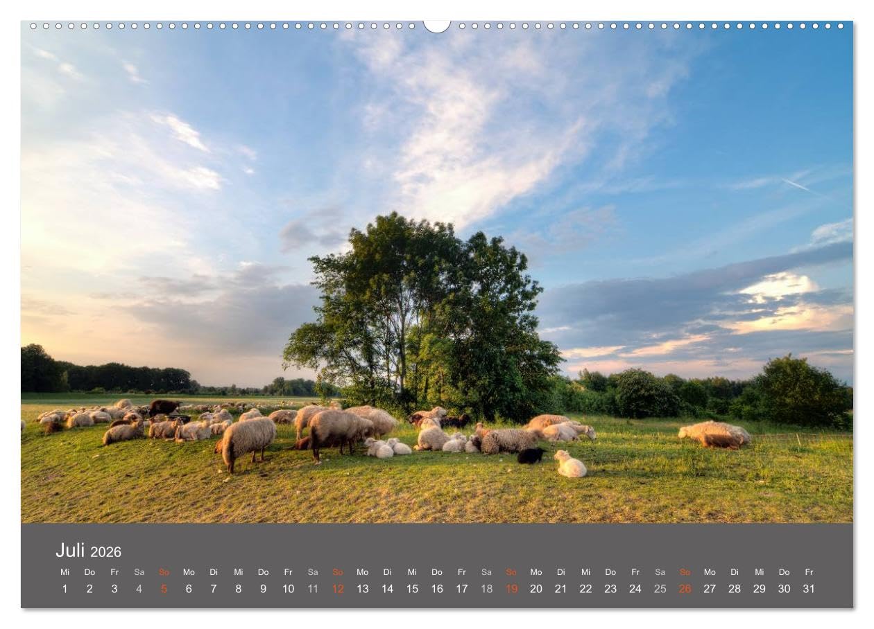 Leipzig - Parks und Landschaften (hochwertiger Premium Wandkalender 2026 DIN A2 quer), Kunstdruck in Hochglanz: Die wunderschönen Parks und Landschaften von Leipzig. (CALVENDO Orte)