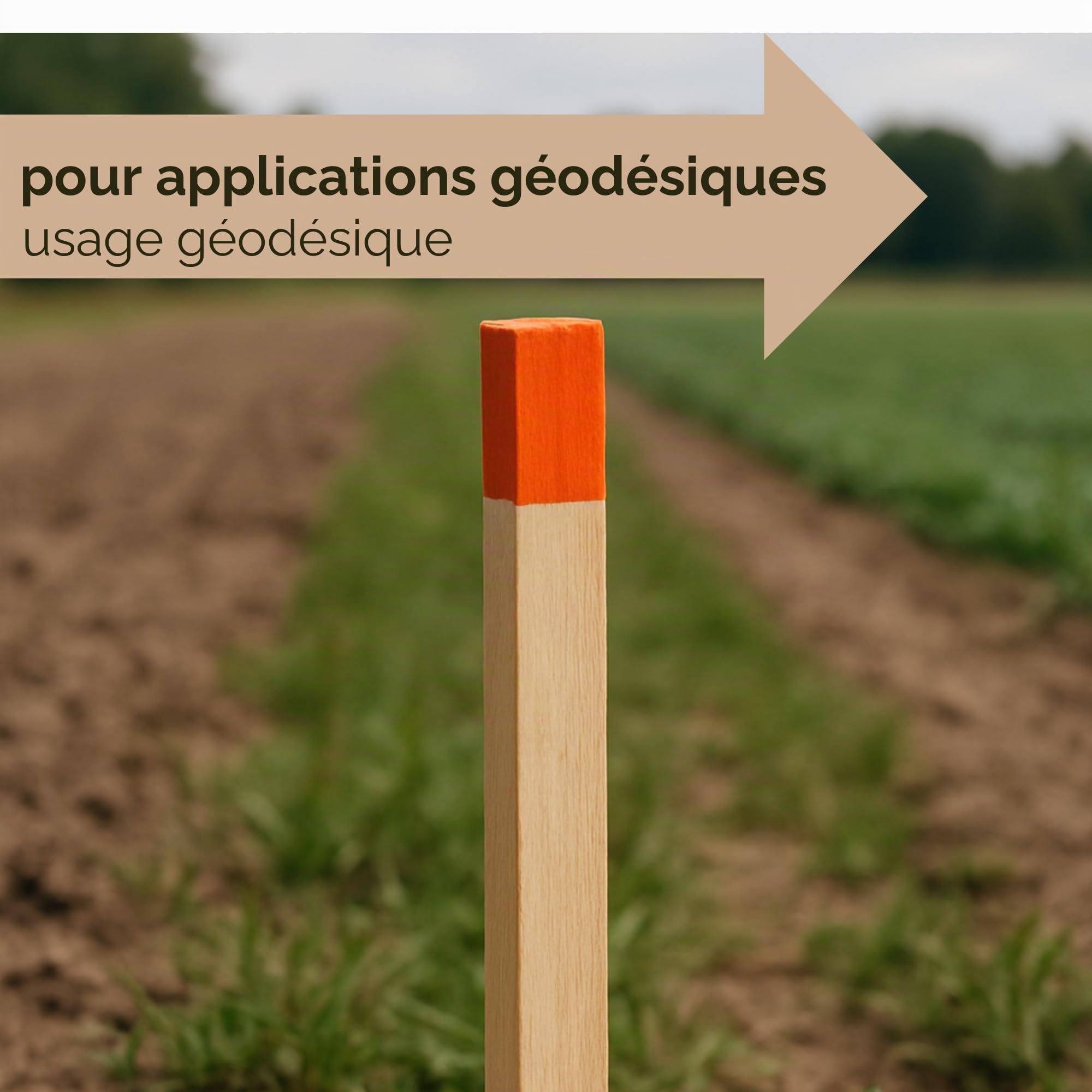50 Piquets en Bois Hêtre 25x25 mm – Longueur 80 cm – Pointe Rouge Vernie – Piquets de Bornage Géodésiques pour Marquage Terrain – Piquets de Jardin Robustes Tuteurs Clôture