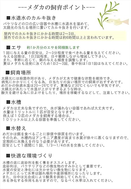 感謝価格 即出荷 めだか メダカ 稚魚 Ss Sサイズ 3種 12匹セット 幹之めだか 青幹之めだか みゆきめだか 楊貴妃 おろち オロチ 鉄仮面 観賞魚 無選別 Shipsctc Org