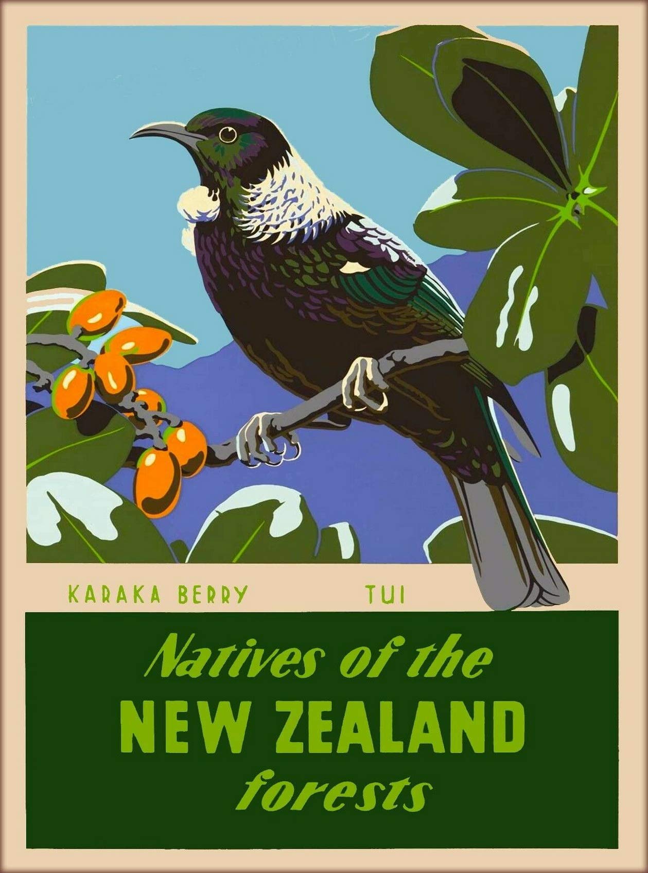 Metal Tin Sign Karaka Berry Tui Bird New Zealand Vintage
