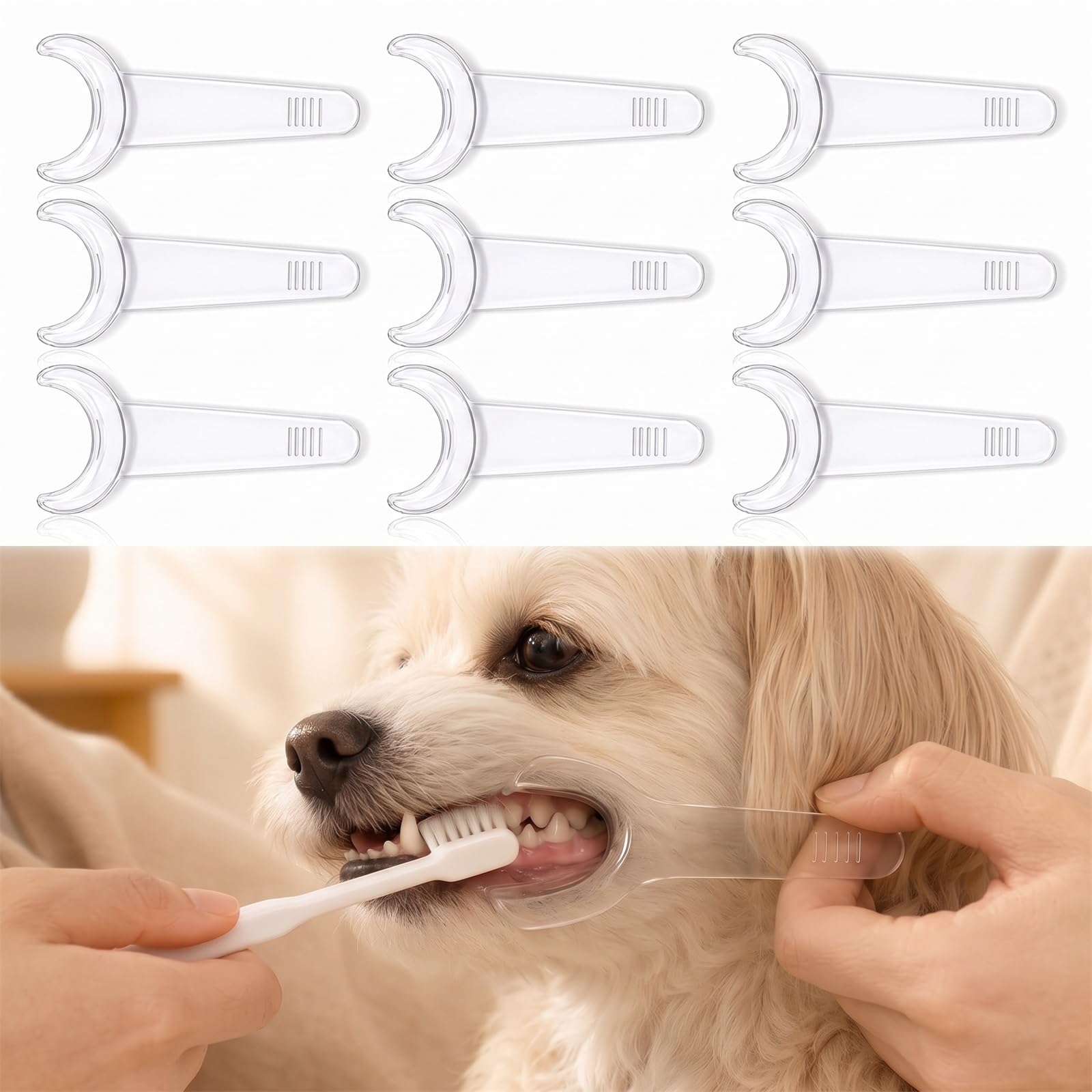 Pet Tooth Brushing Helper for Dogs & Cats，Small & Large