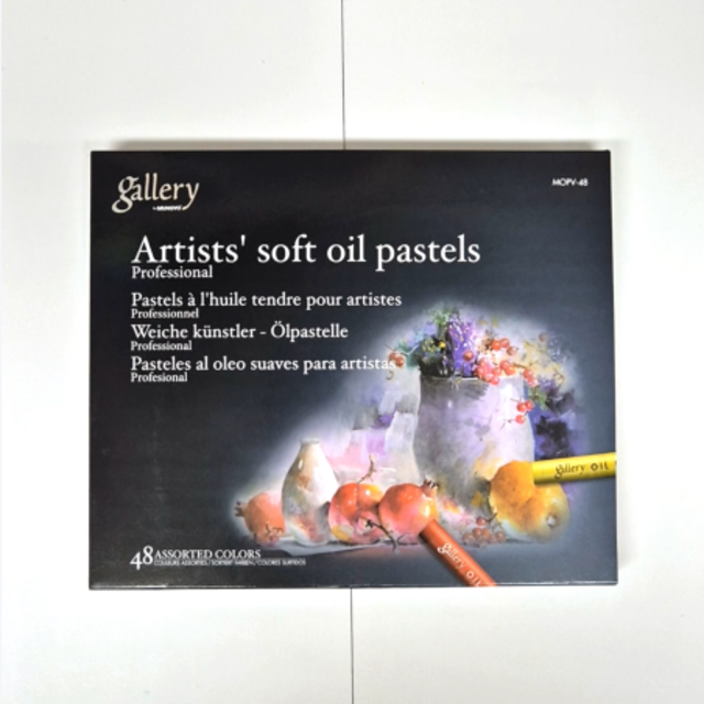 Amazon.com: MUNGYO Gallery Artists' Soft Oil Pastels Professional