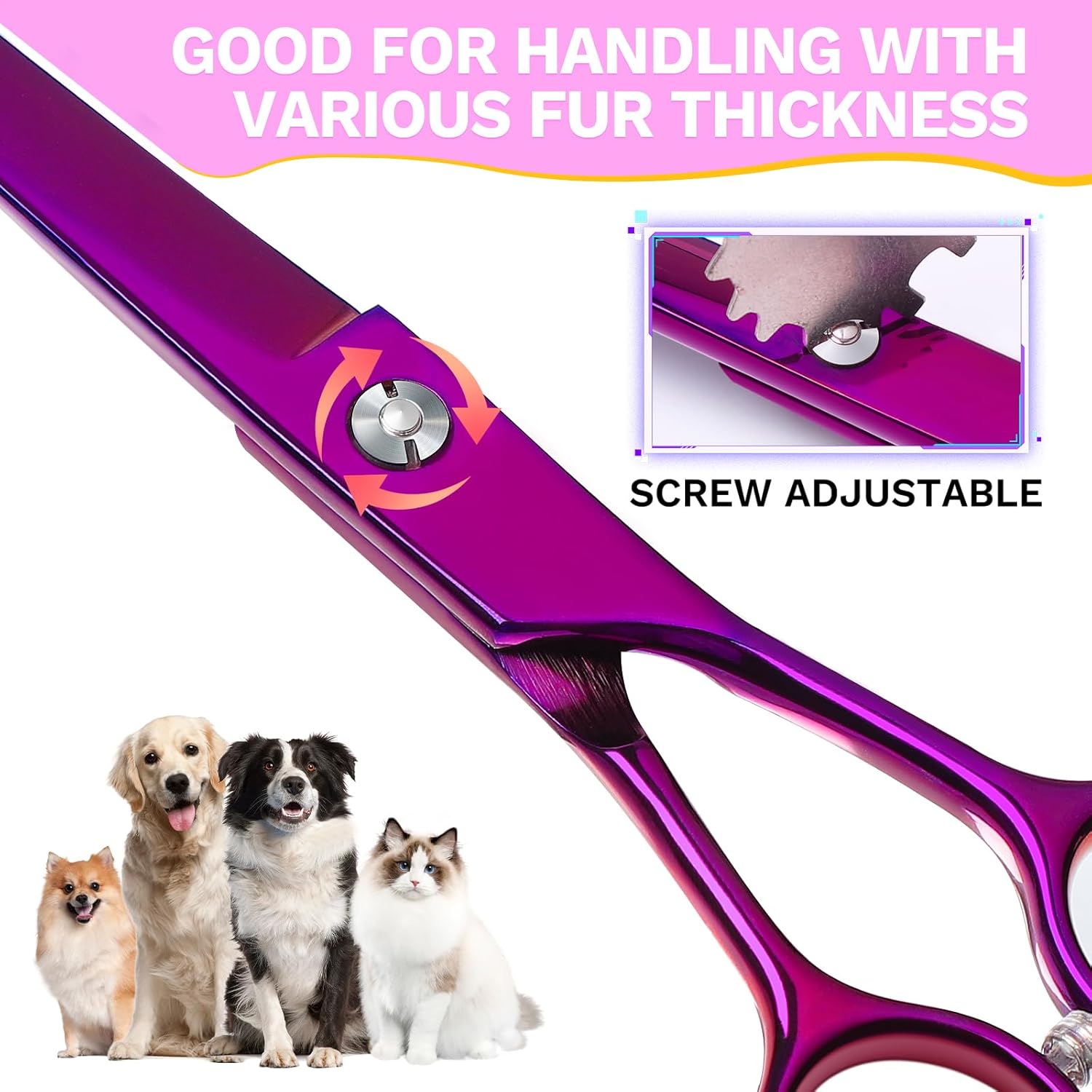 JASON 7.5" Dog Grooming Scissor - Professional Down-Curved Shear with Ergonomic Handle Japanese Stainless Steel Hair Scissor for Dogs, Cats and Other Pets, Sharp & Durable (Curved, Purple) 5 71kctpgWZFL. AC SL1500