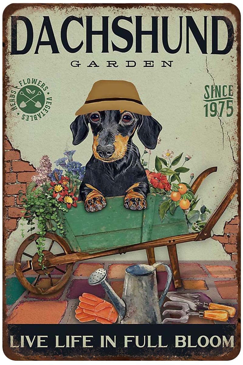AZOLID Metal Signs Dachshund Garden Tin Sign Vintage Funny Home Kitchen Bar Club Cave Rustic Wall Art Decor 14X20CM