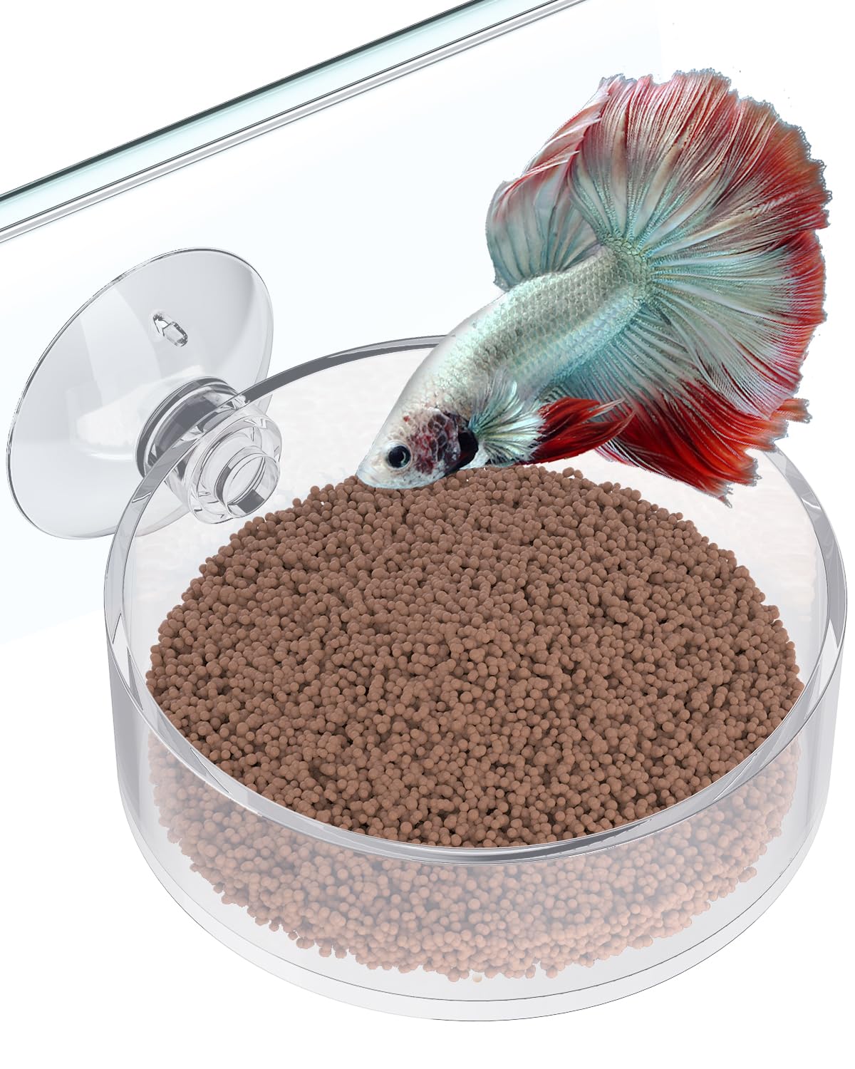 Pawfly Shrimp Feeding Dish with Suction Cup Clear Acrylic Aquarium Shrimp Feeder Dish Fish Feeding Tray for Freshwater