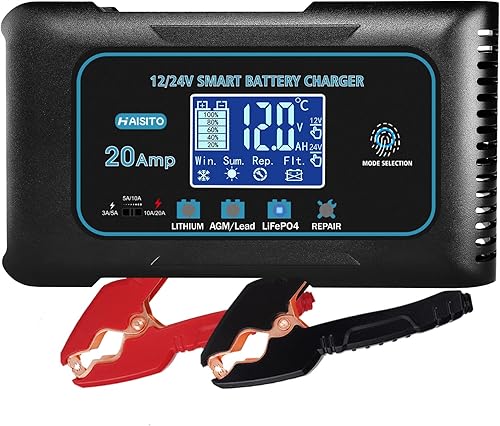 Cargador de batería de coche de 20 amperios, cargador de batería LiFePo4 de 12 V y 24 V, cargador de goteo para litio, LiFePO4, plomo-ácido