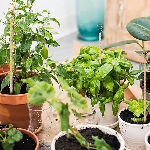 Miniatura 6 de Estacas para plantas de electrocultivo, paquete de 6 antenas de bobina de cobre para jardinería de electrocultivo, antena de cobre de 12 pulgadas,