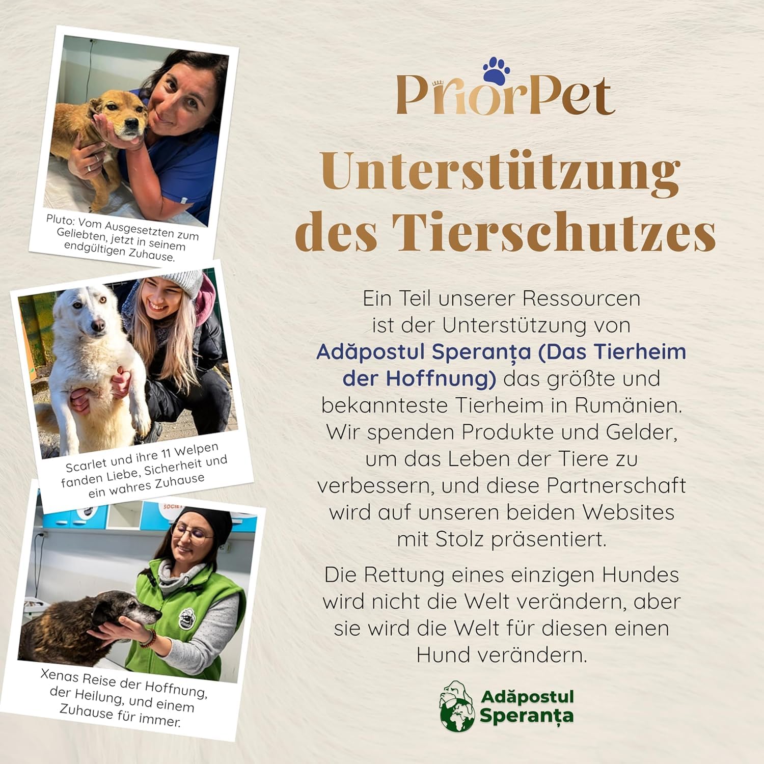 Hunderampe Auto Klappbar- Teleskop Alu Rampe für große Hunde - Stabile Hundetreppe Auto & SUV - rutschfest - Reflektierende Seiten - Hundeleiter Auto - 90kg Belastbarkeit - Befestigungsclip - Schwarz