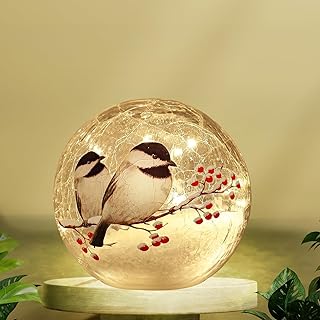Glass Ball Light Birds Pattern Crackle Warm White Night Lamp for Bedroom Living-Room Dresser Nursery Kitchen Garden Modern Decoration Craft