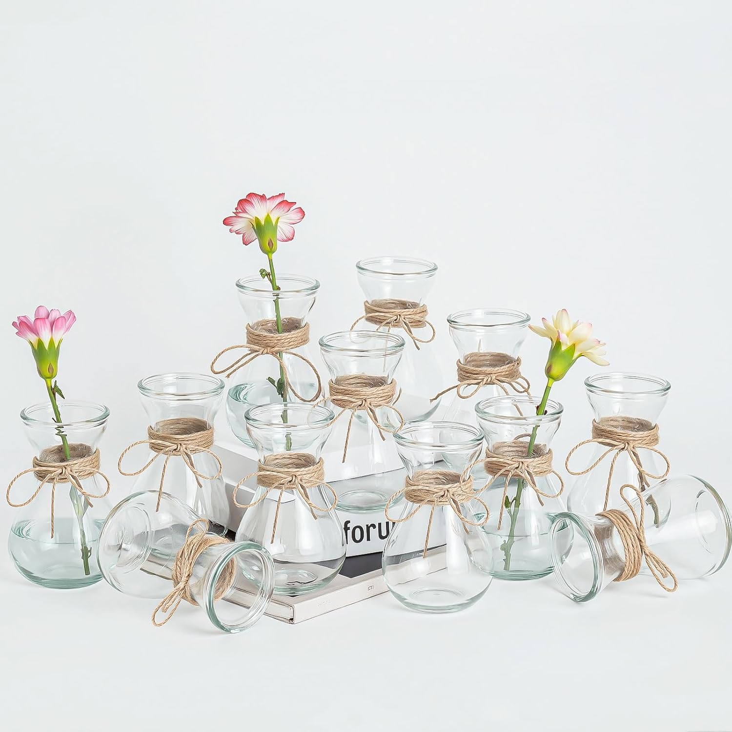Clear Glass Bud Vase Set of 12 Pcs, Small Glass Vases for Flowers Wedd…