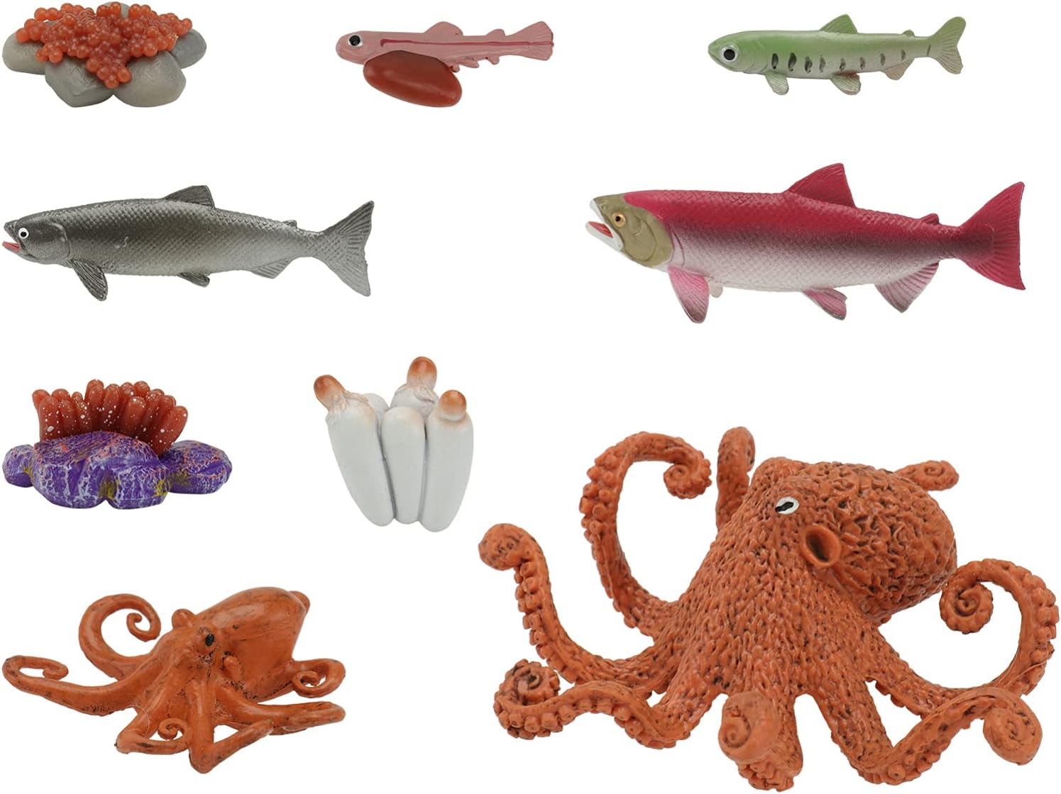Salmon Life Cycle Plastic Salmon Toy Life Cycle Of A Salmon Safari