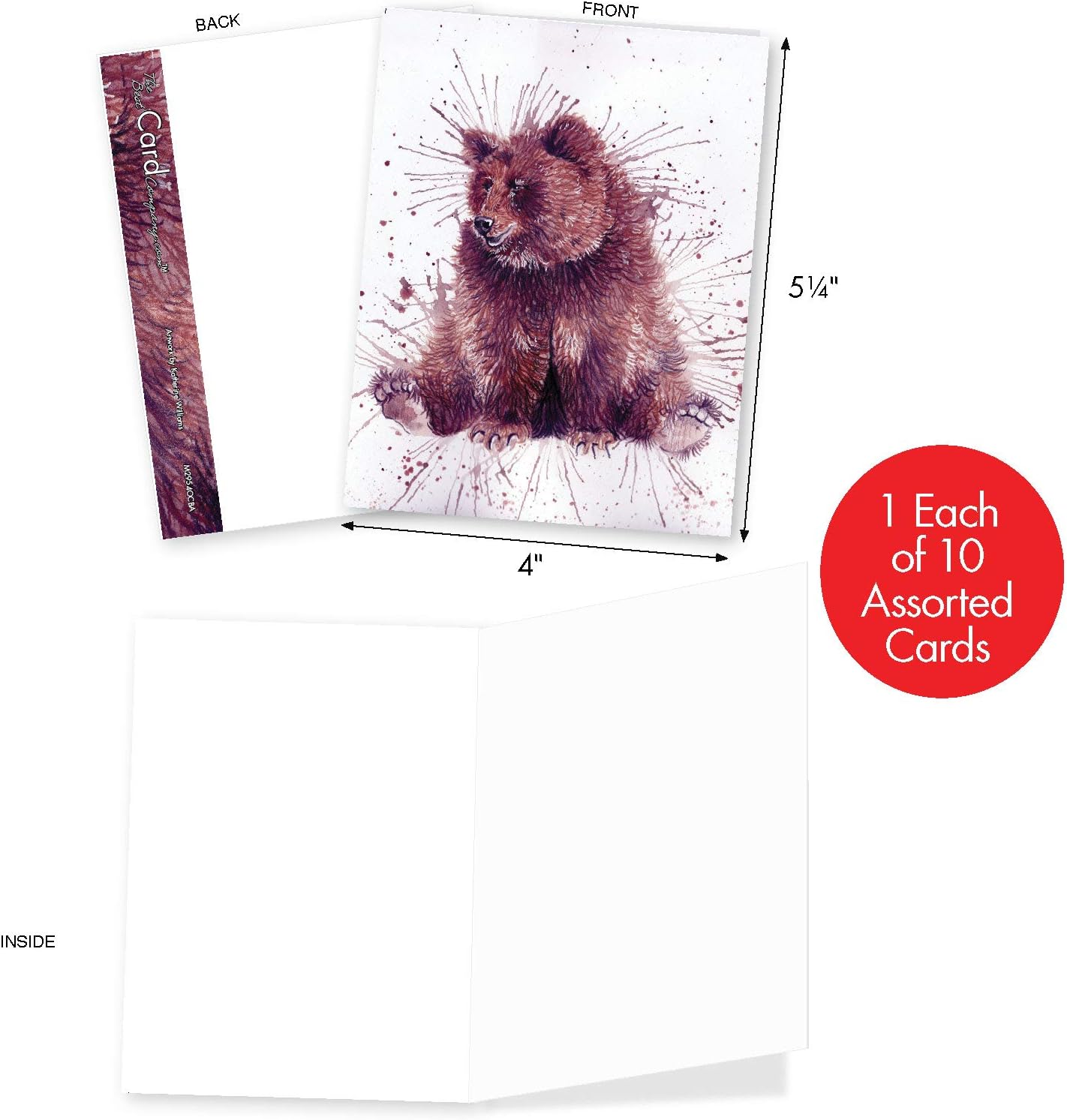 Wildlife Splash - 10 Watercolor Blank Note Cards with Envelopes (4 x 5.12 Inch) - Assorted Boxed Animal Painting Greeting Cards for All Occasions - Inspirational Notecard Set AM2954OCB-B1x10 : Office Products