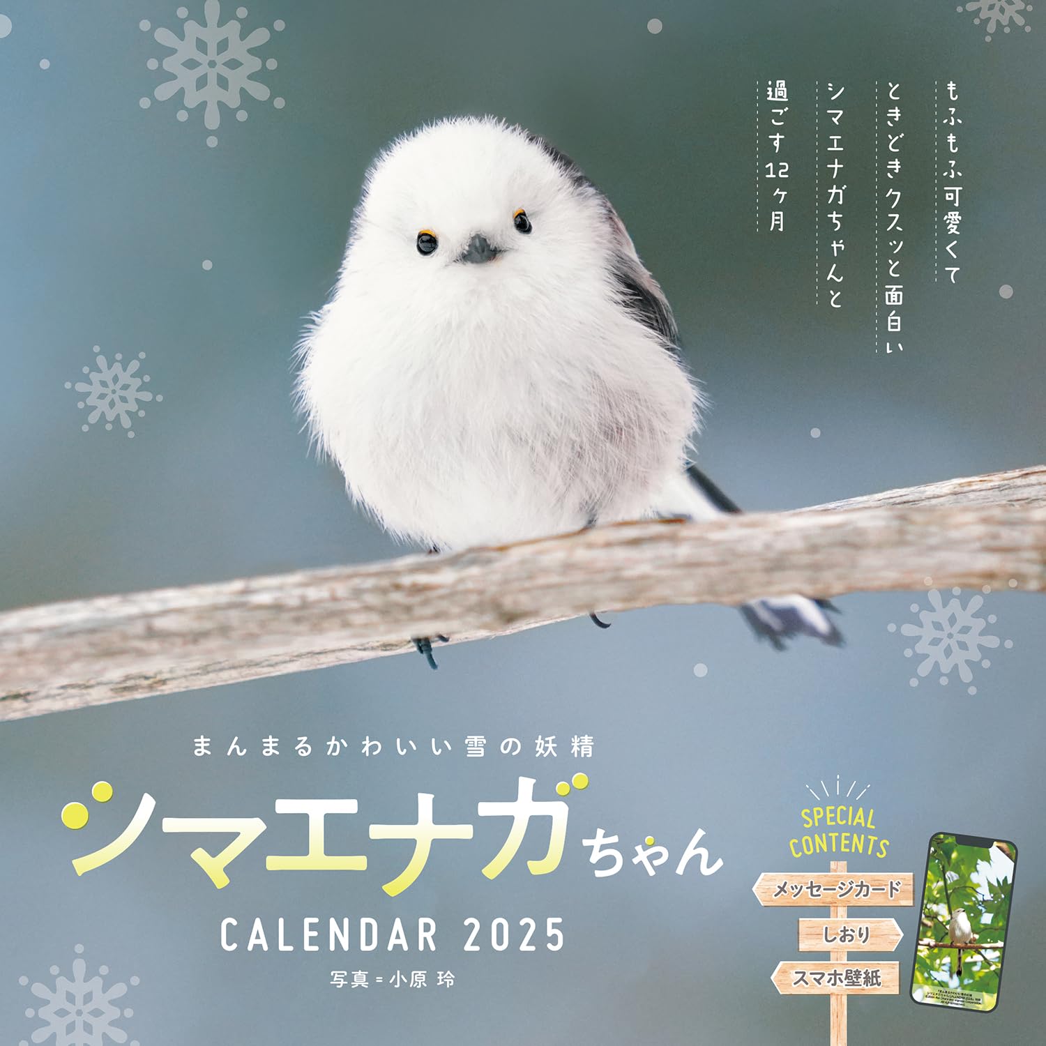 激レア！エンジェルブルー☆キラリちゃんマスコット付き万年カレンダー g-55nr00110m-005.jpg