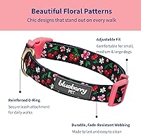 Vista 2 de Blueberry Pet 10+ Patrones Primavera Aroma Floral Collares, Collares Personalizados