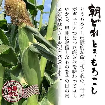 ◆限定1個◆高品質竜亀玉石彫刻 とうもろこし　コレクション 送料無料　本物保証 Amazon.co.jp: 植物種子 七彩宝石とうもろこし 種 200粒 : DIY