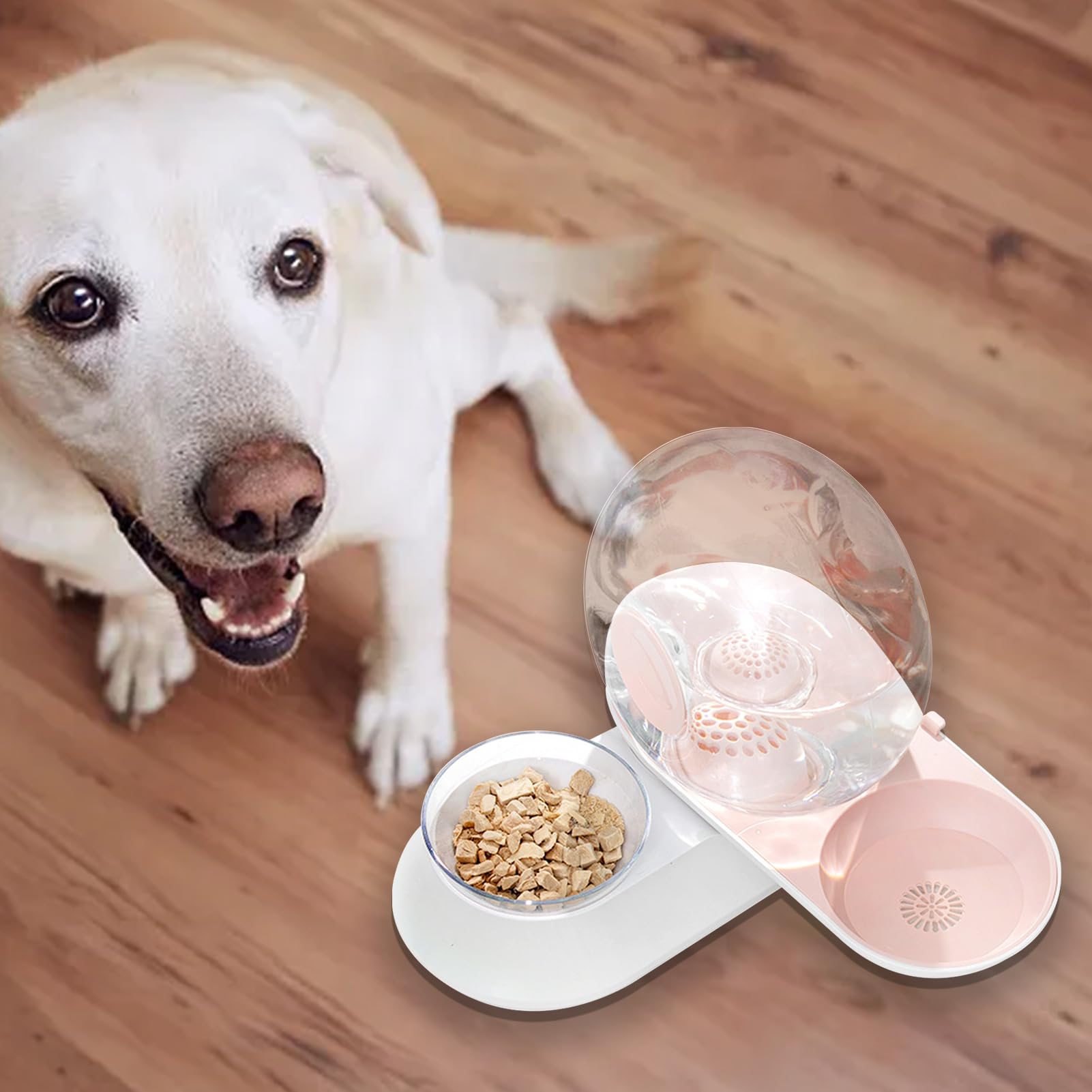 Bebedero para Perros Bebedero De Sifón En Forma De Caracol para Mascotas | Dispensador Automático de Agua para Perros para Cachorros Conejos y Mascotas