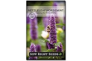 Sow Right Seeds - Nettleleaf Horsemint Seed