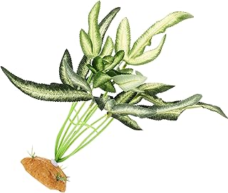 Ipetboom Decorações De Peixes Para Caixa De Criação De Tanques Para Tanques De Peixes Decoração De Anfíbios De Vegetação Falsa Simulação De Decoração De Plantas Plantas De Terrário