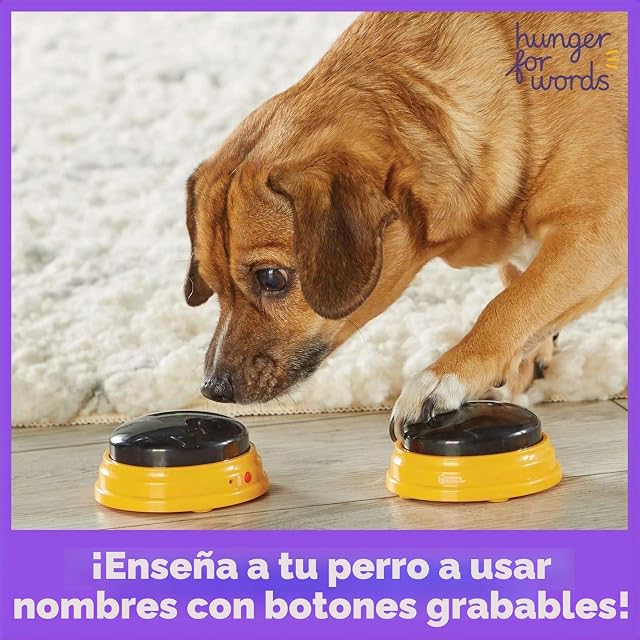 Foto 3 de 8 de Hunger for Words Set de Nombres Propios para Mascotas Que Hablan, 3 Botones grabables para Perros