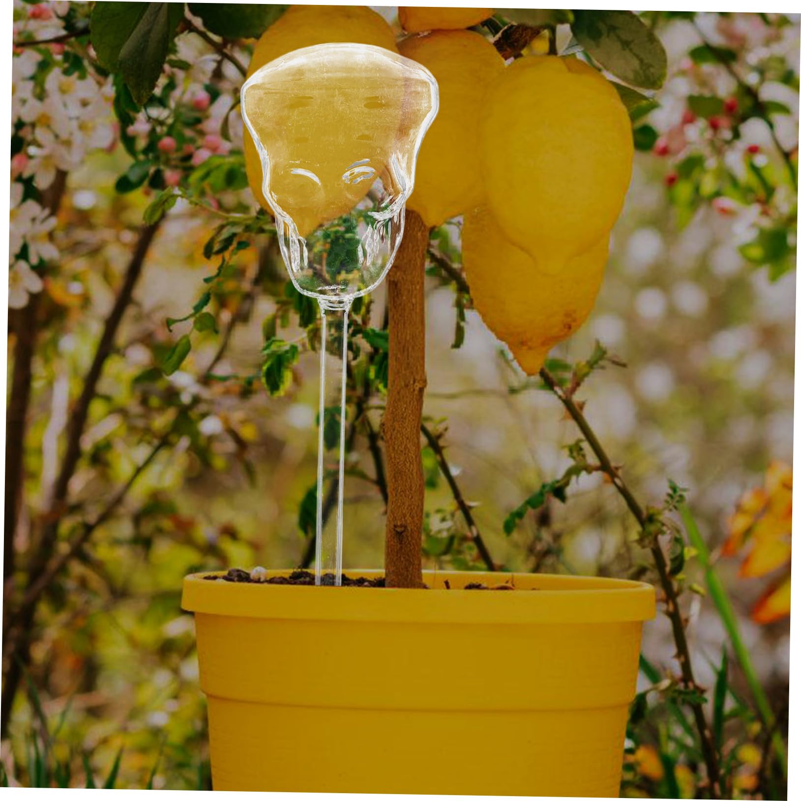 BESTonZON 3 Pezzi Dispositivo Innaffiamento Forma per Piante Irrigazione per Patio