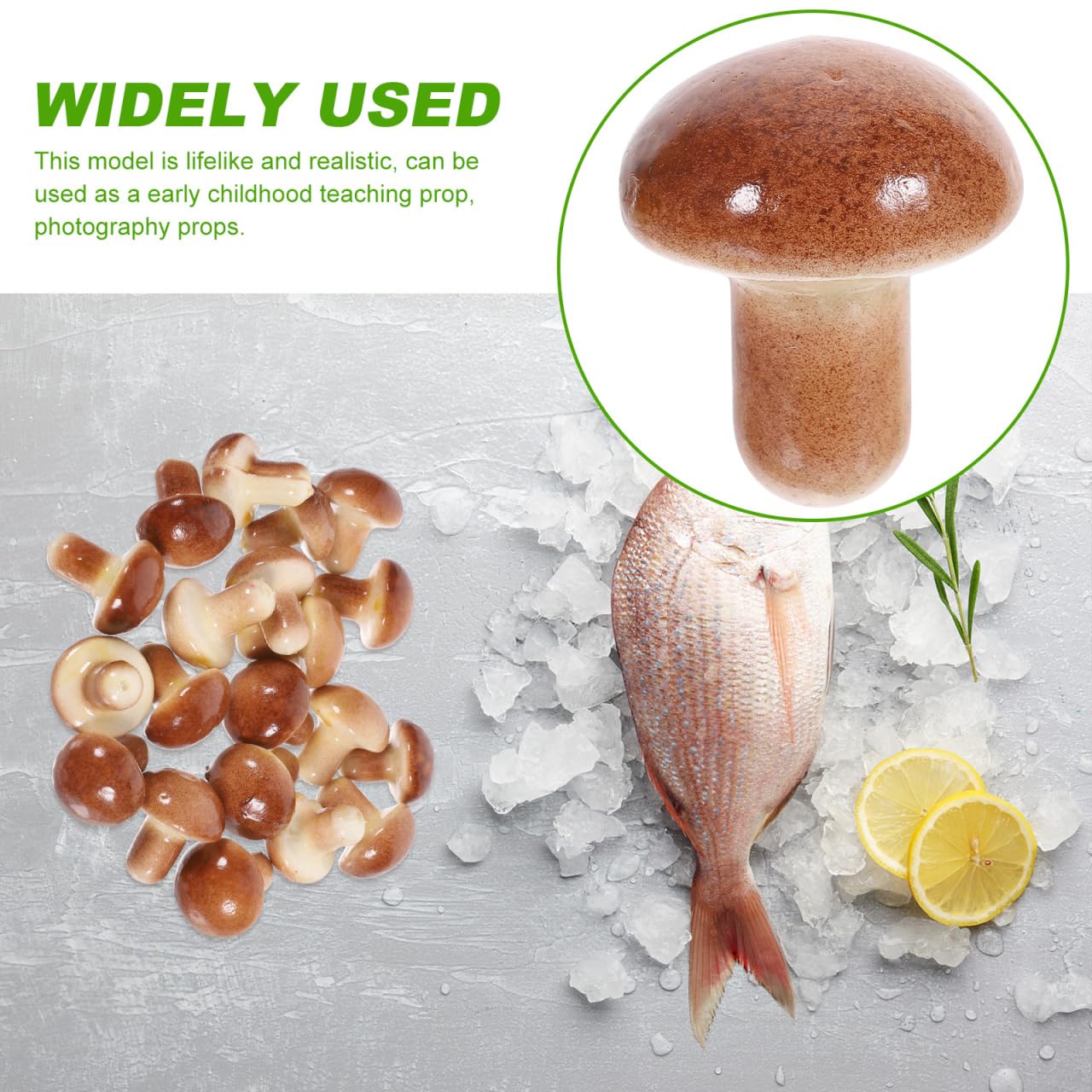 GLEAVI Modèles De Champignons Simulés Miniatures 20 Pièces Décoratifs pour Photo Bureau Et Enseignement Accessoires Multifonctionnels