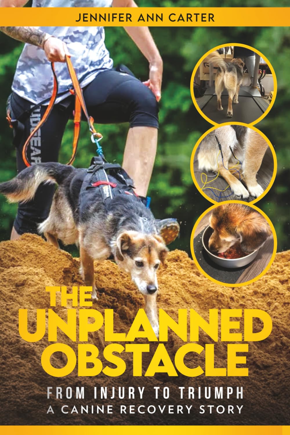 The Unplanned Obstacle: From Injury to Triumph: A Canine Recovery Story