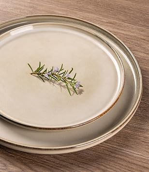AmorArc Ceramic Plates Set of 6, 8.5 Inch Reactive Glaze Stoneware Plates set, Dessert, Salad, Appetizer, Small Dinner, Microwave, Dishwasher Safe, Scratch Resistant Dishes Set for Kitchen