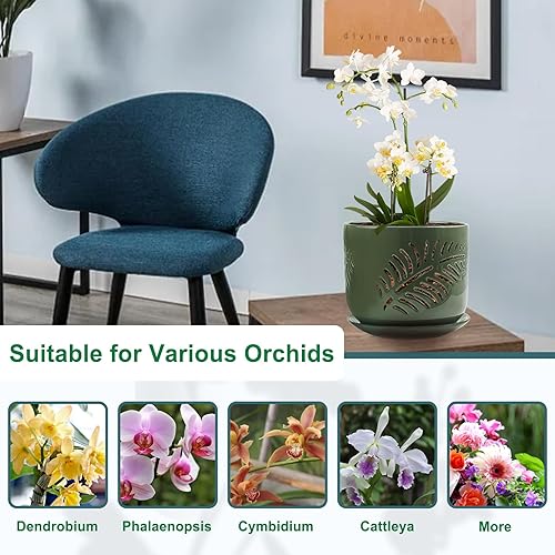 Miniatura 6 de Macetas de orquídeas de cerámica, macetas de orquídeas de 6+5 pulgadas con agujeros, macetas de orquídeas para trasplantar, macetas de circulación