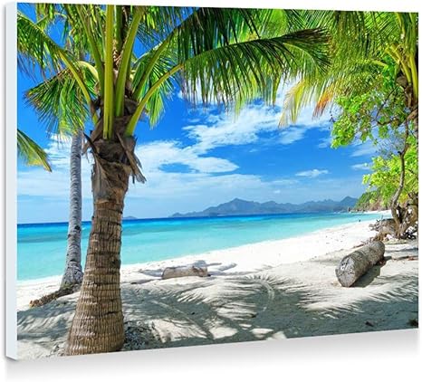 Amazon Co Jp 夏のビーチ 砂浜 ヤシの木 壁の絵 壁掛け ソファの背景絵画 壁アート写真の装飾画の壁画 海 60cmx40cm ホーム キッチン Amazon Co Jp 夏のビーチ 砂浜 ヤシの木 壁の絵 壁掛け ソファの背景絵画 壁アート写真の装飾画の壁画 海 60cmx40cm ホーム キッチン
